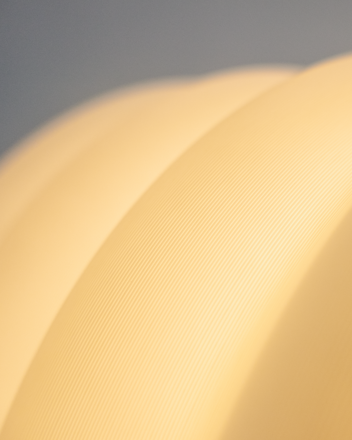 Ansa Lantern